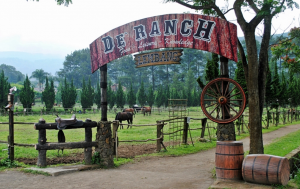 Read more about the article Tiket Masuk De Ranch