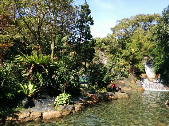 You are currently viewing Tiket Wisata Sari ater Hotspring Water