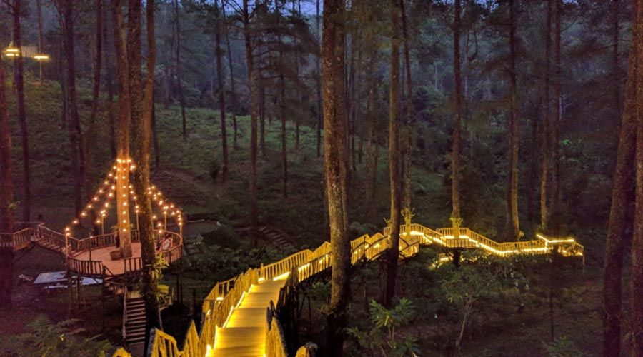 You are currently viewing Tiket Wisata Orchid Forest Lembang