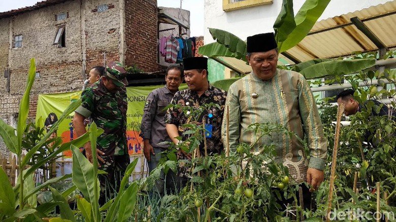 You are currently viewing Kendalikan Inflasi, Pemkot Bandung Luncurkan Program Kampung Berkebun