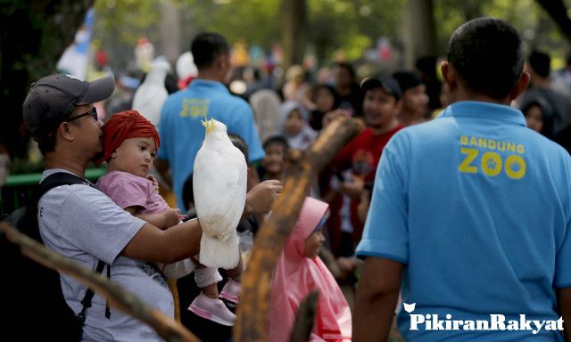 Read more about the article Bandung Zoo Akan Penuh Sesak pada Libur Natal dan Tahun Baru, Ini Lokasi Parkir Alternatif