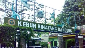 Kebun Binatang Bandung (Bandung Zoo)
