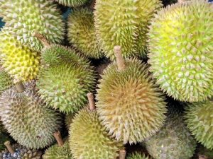 Read more about the article Festival Durian, Warga Buru Buah Durian Lokal