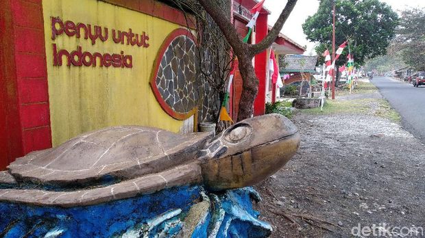 Read more about the article Serunya Bercengkerama dengan Penyu di Pantai Batu Hiu Pangandaran