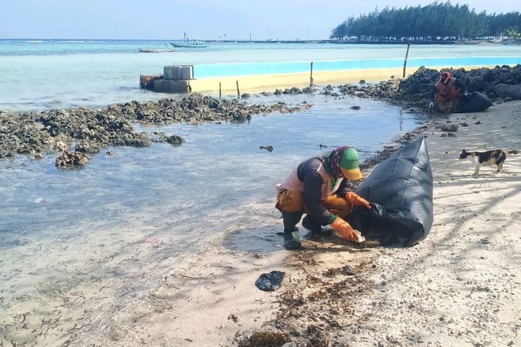 Read more about the article Lebih dari 1.000 Kantong Gumpalan Minyak Terkumpul dari Pulau Pari dan Tidung.