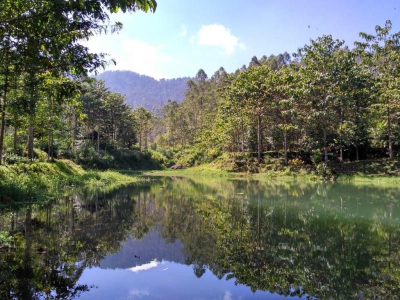 Read more about the article Sukaluyu, Kampung Berkebun di Atap Bandung