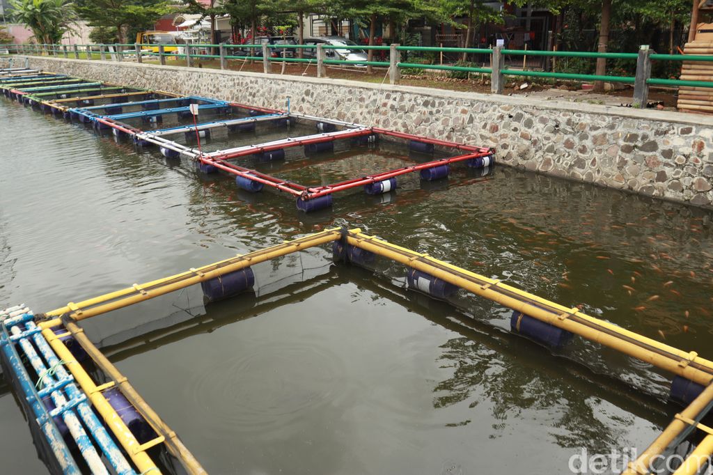 You are currently viewing Kreatifnya Warga Bandung, Ubah Kolam Retensi untuk Budidaya Ikan dan Wisata