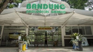 Read more about the article Kebun Binatang Bandung Dibuka Lagi, Kapasitas Pengunjung 25%