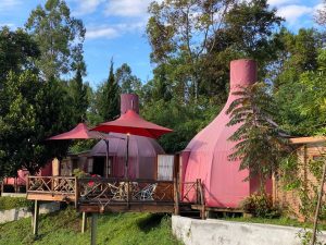 Read more about the article Tempat Wisata di Bandung, Mulberry Hill by The Lodge Suguhkan Wisata Baru Garden Herbal